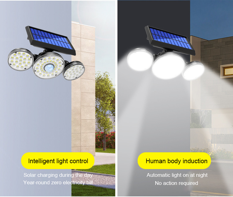 Solar Garden Light (4)