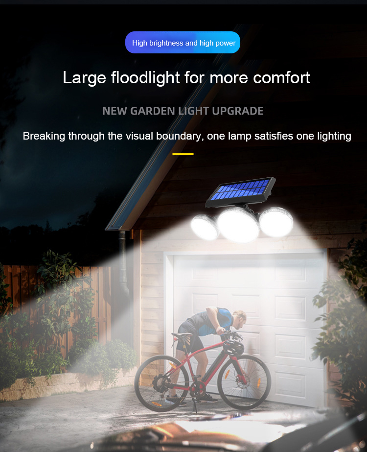 Solar Garden Light (7)