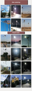 https://www.lx-solarener.com/6m-high-30w50w-conch-shape-solar-street-lamp-product/